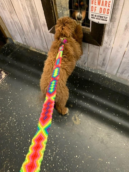 1" Dog Leash - Laisse de chien en cuir, Laisse faite à la main, Laisse de chien mexicaine, Laisse de chien Boho, Laisse imperméable, laisse de chien, laisse de macramé, laisse hippie